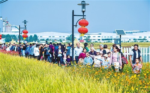 金秋稻田乐园 助力乡村旅游