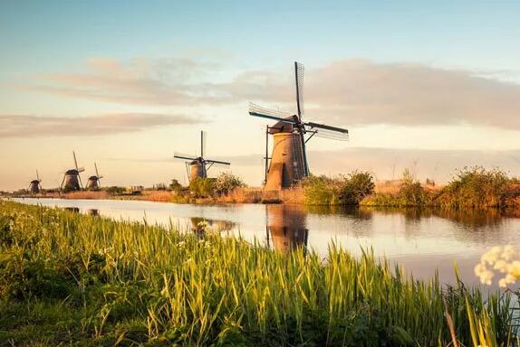 低洼之地却成为农业强国，荷兰休闲农业有哪些值得借鉴？