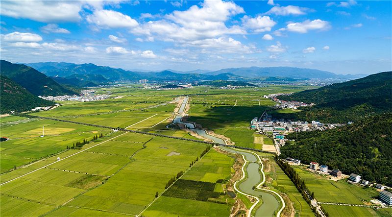 2019年浙江省实施乡村振兴战略优秀单位名单出炉，温州多地入选