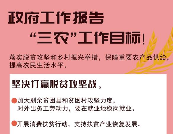 2020年“两会”三农政策与解读
