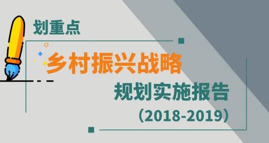 一图读懂 全球首个乡村振兴战略规划实施报告