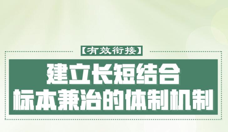 做好乡村振兴大文章 习近平反复强调这四个字