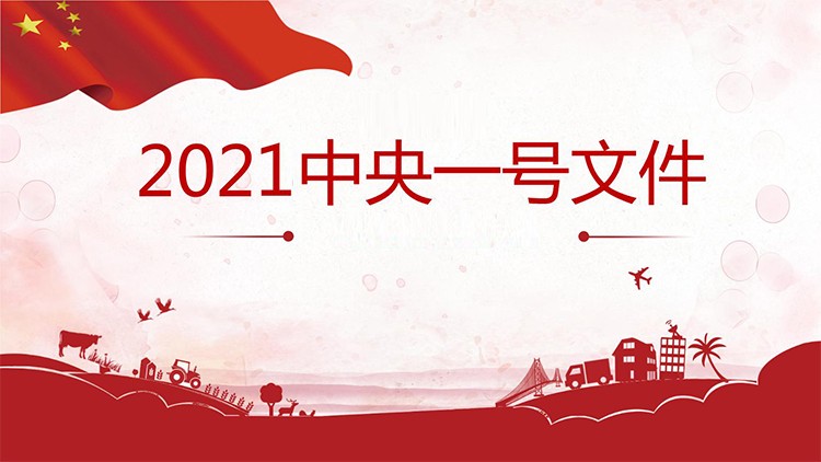 中央一号文件：中共中央　国务院关于全面推进乡村振兴加快农业农村现代化的意见