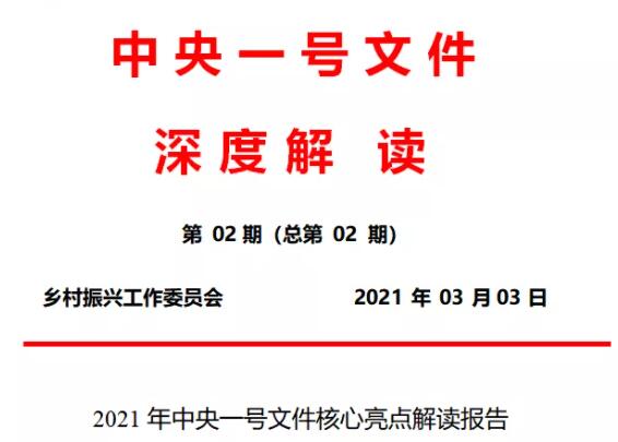 2021年中央一号文件核心亮点解读报告