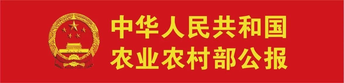 关于用好关心好支农“三支一扶”队伍更好服务乡村振兴的通知