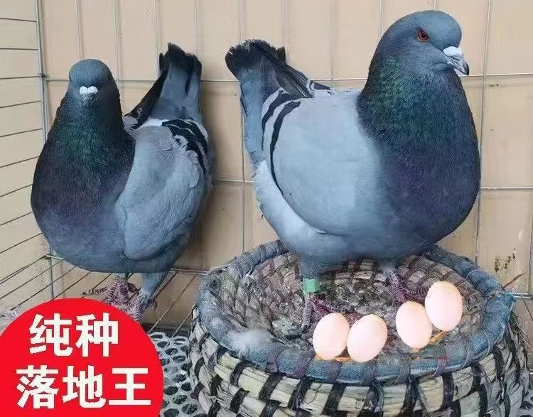 图片23.jpg