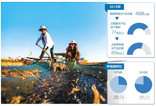今年是产业政策利好最大、转型动能最强的一年  水产养殖业锁定“绿色”目标