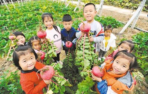 河北廊坊村企融合 兴产富民 