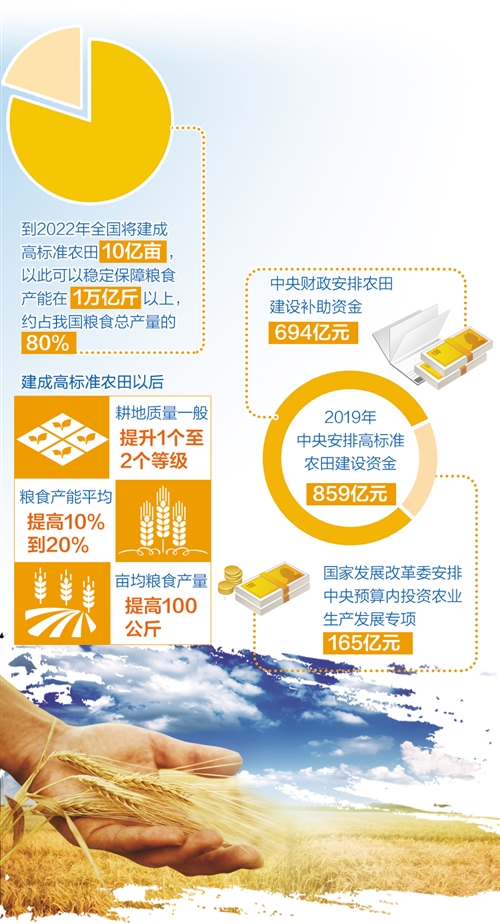 如何建设10亿亩高标准农田