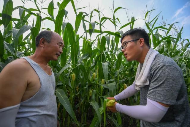 “农技人才荒”掣肘乡村振兴