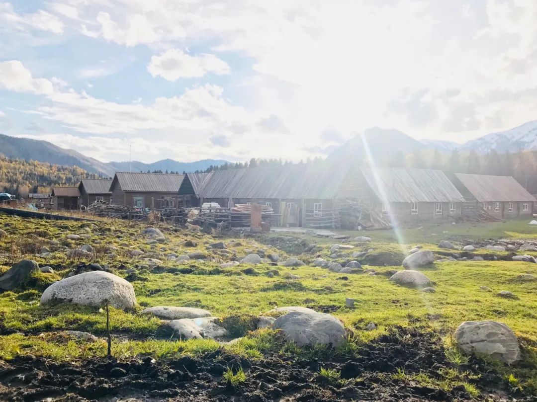 “一村一品”的补贴标准、申报条件、成功案例及创建指导(图3)