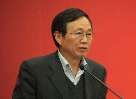 国家发改委宏观经济院副院长  