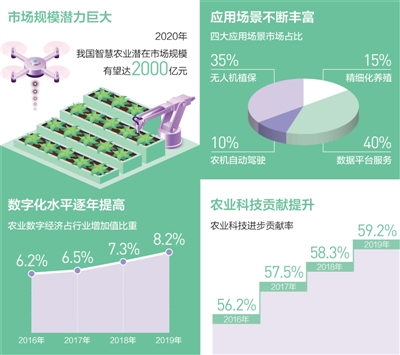 庄稼汉 “慧”种田
