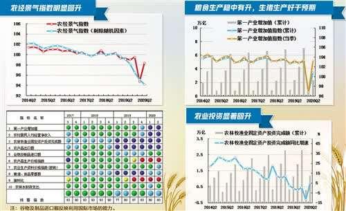 强农惠农政策落实 农业经济稳中有升