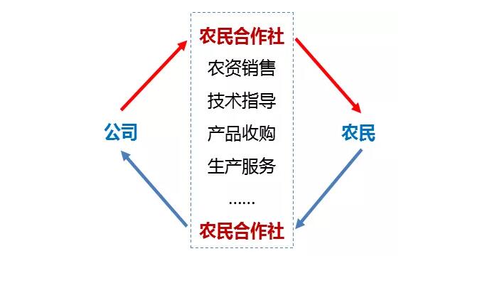 张天佐：公司如何领办农民合作社