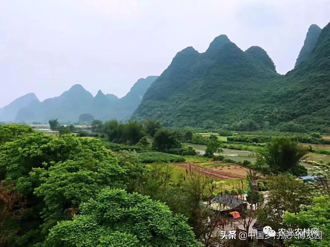 乡村振兴三大误区：样板化、错位化、非农化